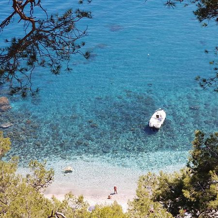 "L'Hippocampe", Climatise, 60 M2 , 2 Chambres, Tres Calme, Plage Des Sablettes Et Commerces A 3 Minutes A Pied, Wifi, Parking Gratuit, Lit King Size La Seyne-sur-Mer Kültér fotó
