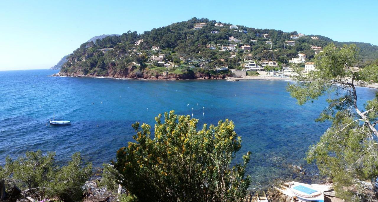"L'Hippocampe", Climatise, 60 M2 , 2 Chambres, Tres Calme, Plage Des Sablettes Et Commerces A 3 Minutes A Pied, Wifi, Parking Gratuit, Lit King Size La Seyne-sur-Mer Kültér fotó