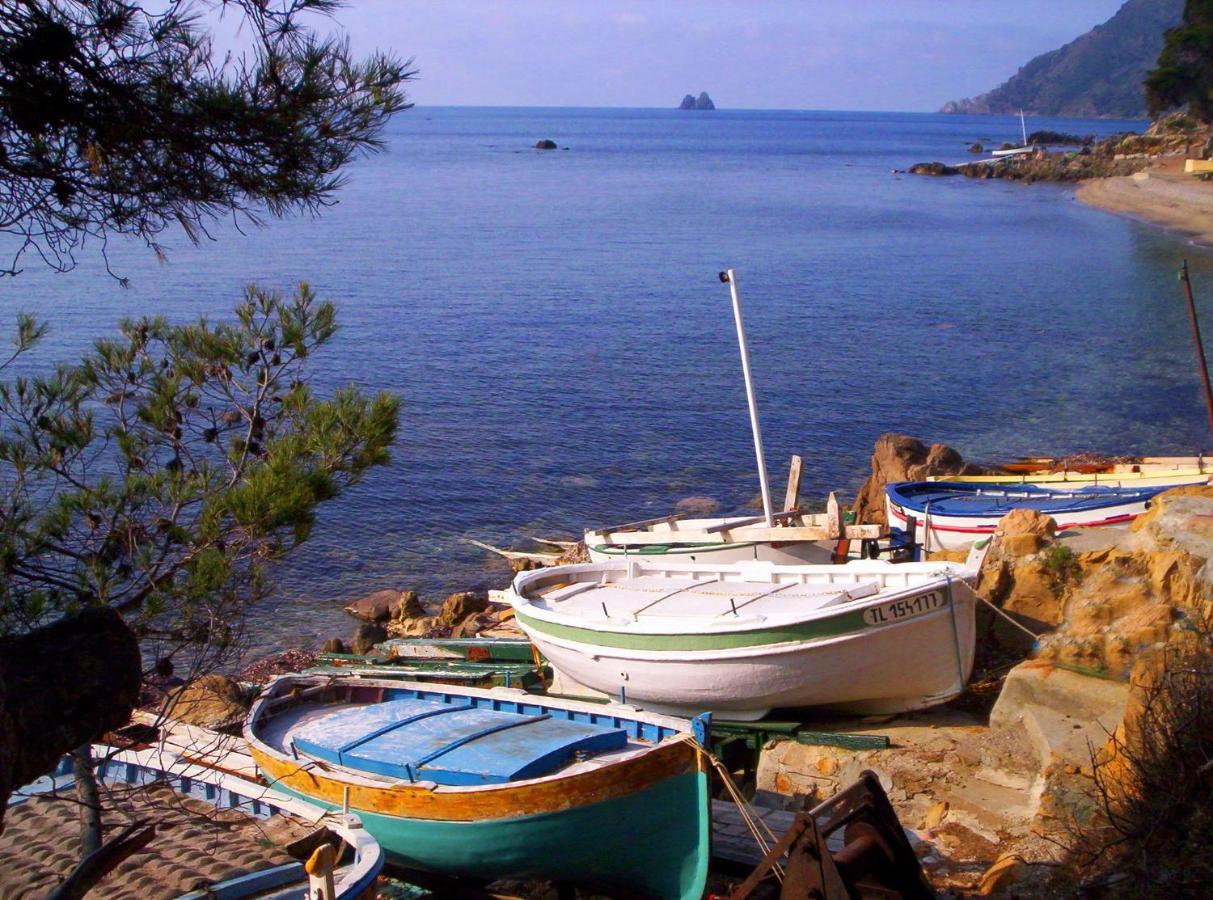 "L'Hippocampe", Climatise, 60 M2 , 2 Chambres, Tres Calme, Plage Des Sablettes Et Commerces A 3 Minutes A Pied, Wifi, Parking Gratuit, Lit King Size La Seyne-sur-Mer Kültér fotó